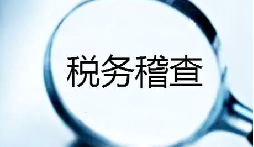 2020年稅務(wù)稽查怎么進(jìn)行？
