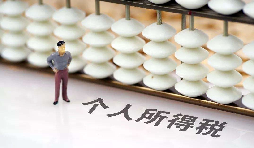 如何在網(wǎng)上打印個(gè)人所得稅納稅記錄？