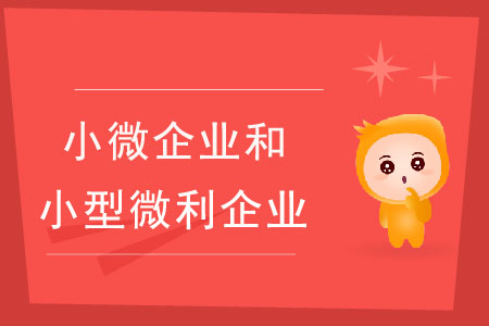 小微企業(yè)和小型微利企業(yè)有什么區(qū)別？