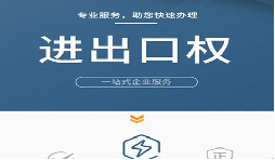 進(jìn)出口權(quán)申請(qǐng)辦理流程：簡單易懂的指南